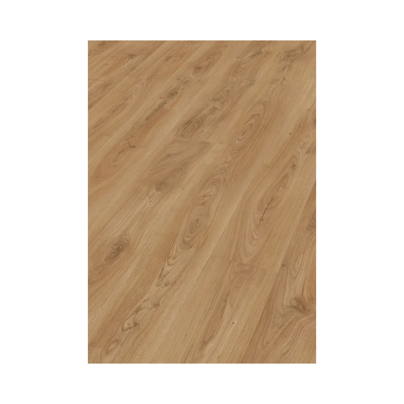 German High Performance Meister Design Next DL 500 S Looks Particularly Generous With 24 Hours Of Water Resistance