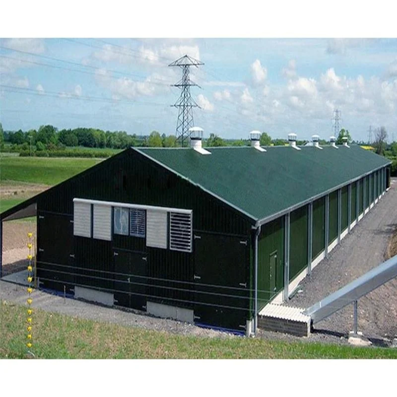 Steel Warehouse Quick Installation Prefabricated Warehouse Metal Building Construction Steel Structure Poultry Farm Prefab House