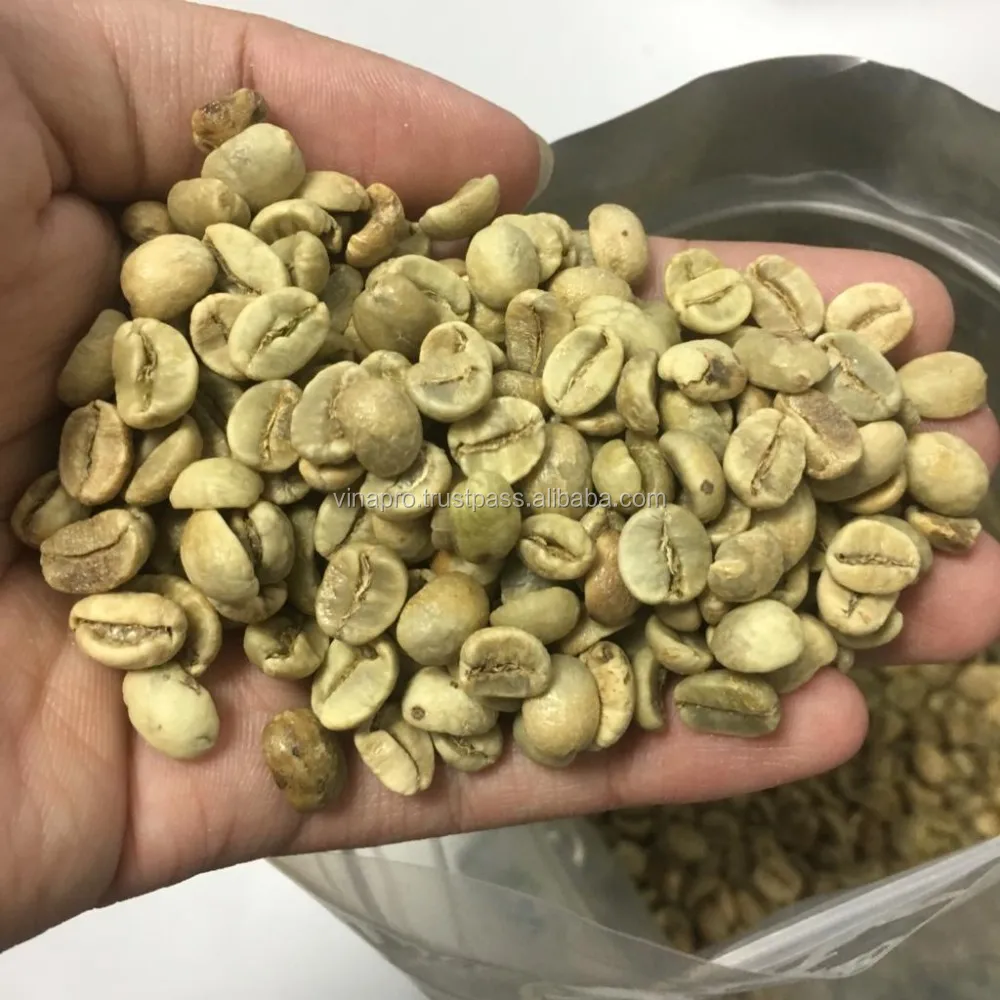 Organic 100% natural Washed Arabica S16 premium quality Vietnamese coffee beans competitive price