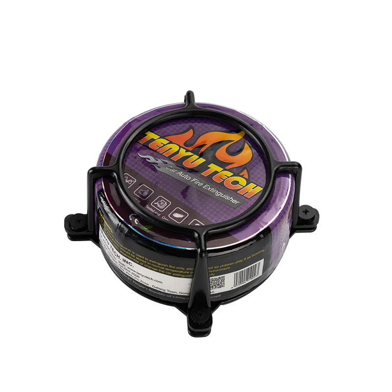 TENYU TECH Portable Size Dry Powder Car Fire Extinguisher