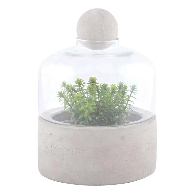 Wholesale modern Plants flower Vase Containers Tabletop Vase Garden Growing indoor plant concrete base glass terrarium Bottle