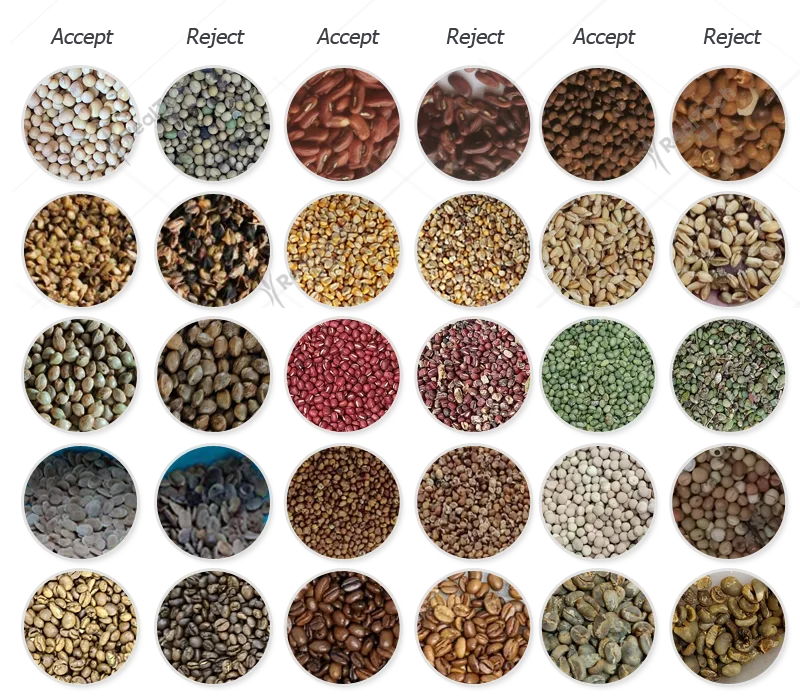 China Manufacturer Seeds Color Sorter Rice Color Sorter Machine Seeds Color Sorting