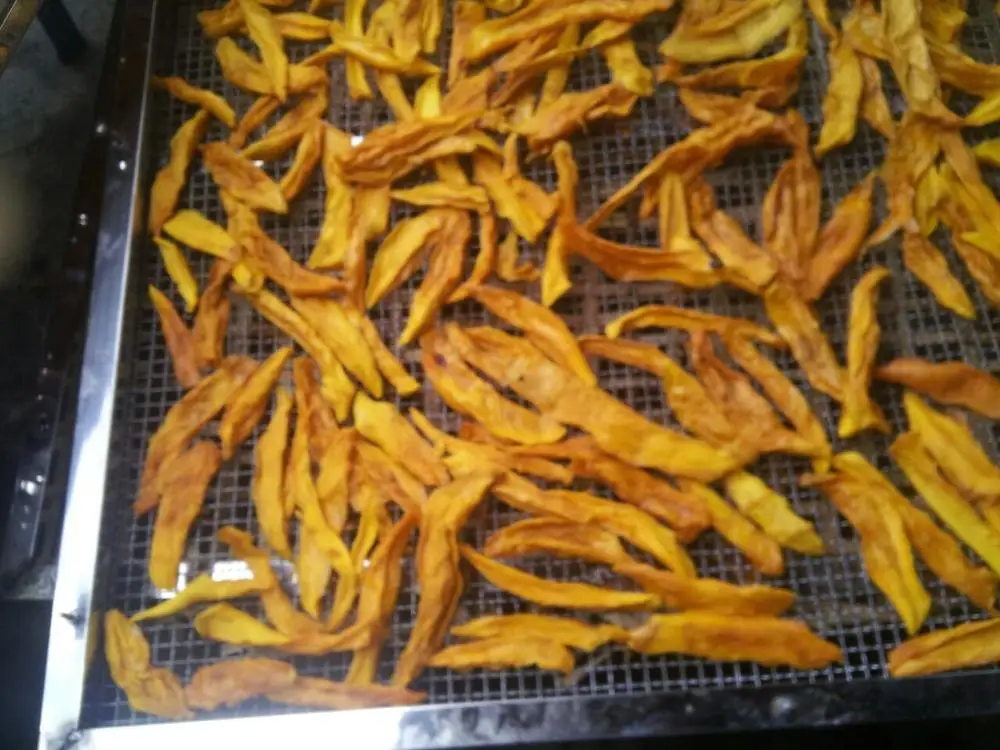 Hot Sale High Frequency Wholesale Food mango Fruit Drying Machine