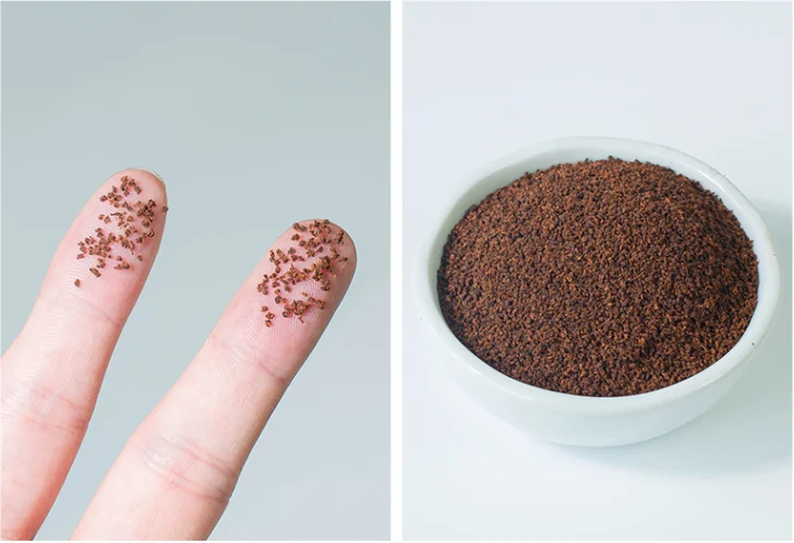 Pure India Assam Black Tea CTC PF Granulated  Broken Tea or Sri Lanka Ceylon Black Tea CTC PF