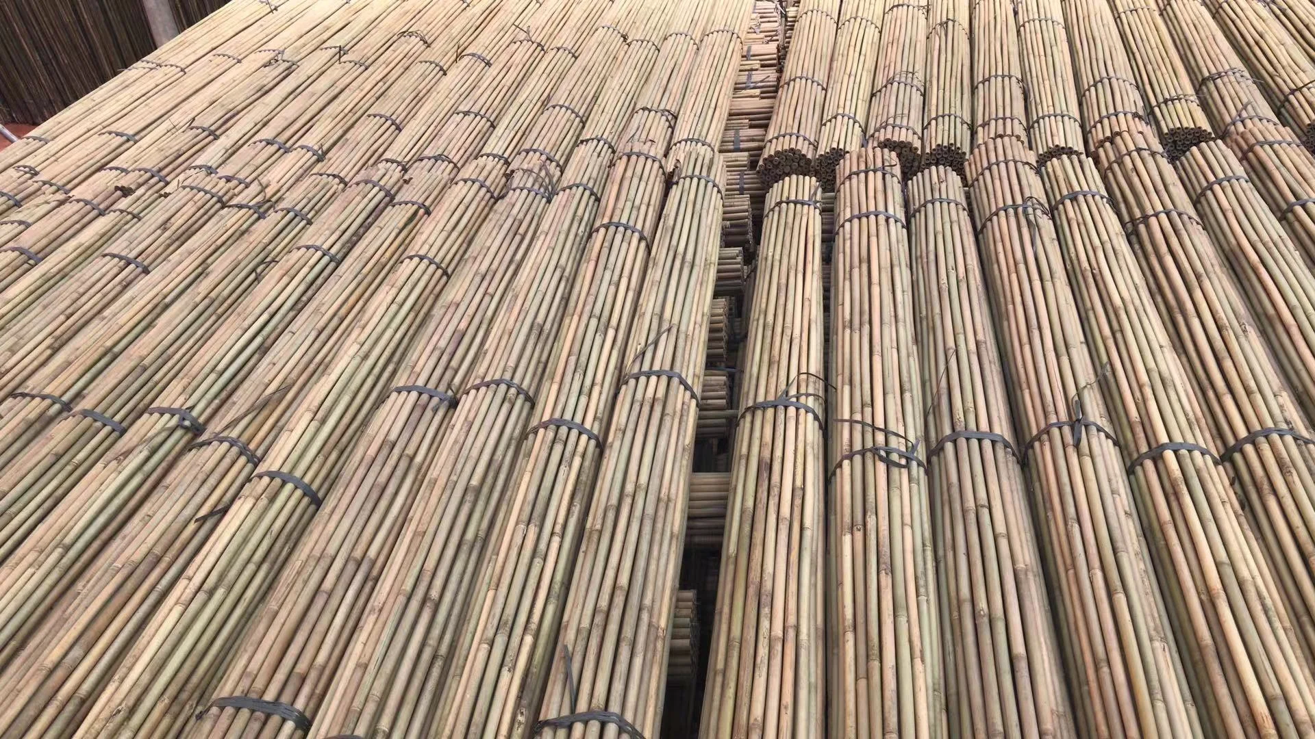 
Plant Support tonkin bamboo canes 150cm, Dia.12-14mm 