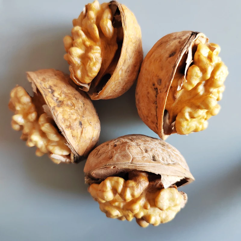 China Factory Supply Quality 185 Walnuts For Export