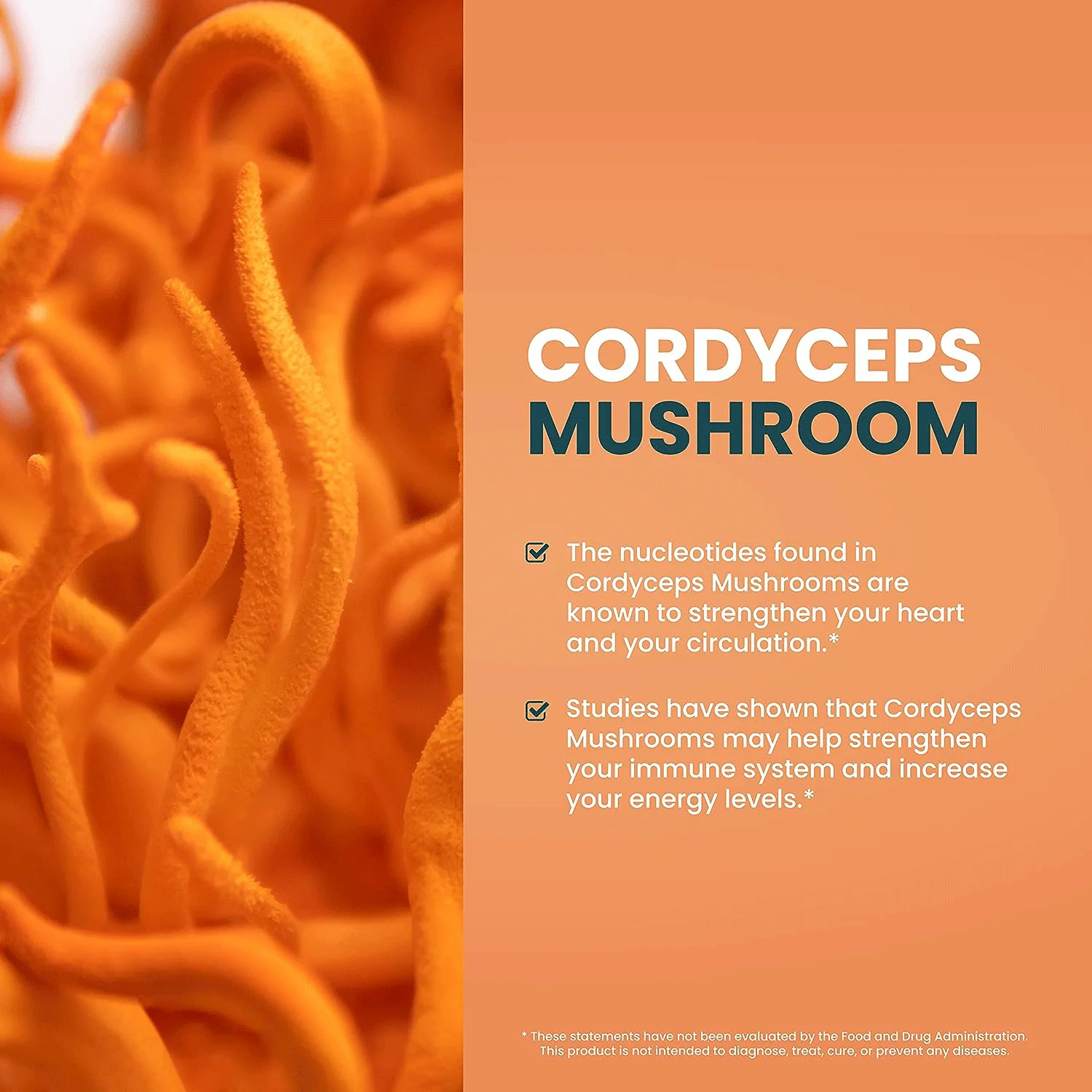 OEM Factory Private Label Cordyceps Drops Healthcare Supplement Organic Natural Cordyceps Extract Drops With Fast Delivery