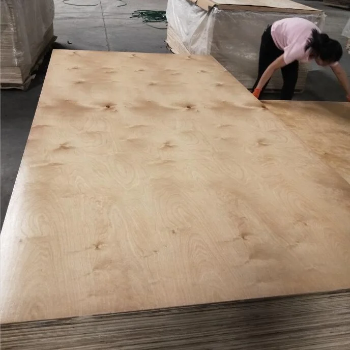UV coated birch plywood for cabinet