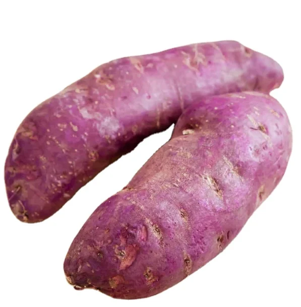 IQF purple sweet potato frozen purple sweet potato chunks, strips, dices or mashed puree for wholesale