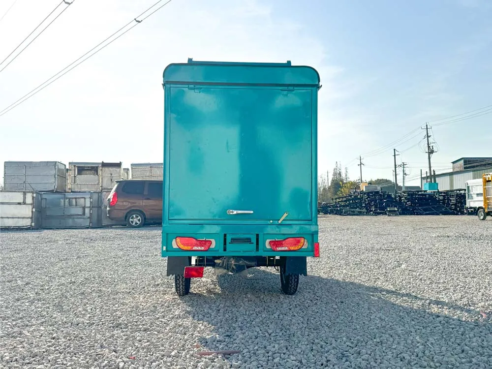 LB-3W4D electric trike fat tire 3 wheel Electric Tricycle three wheels adult cargo electric bike with basket