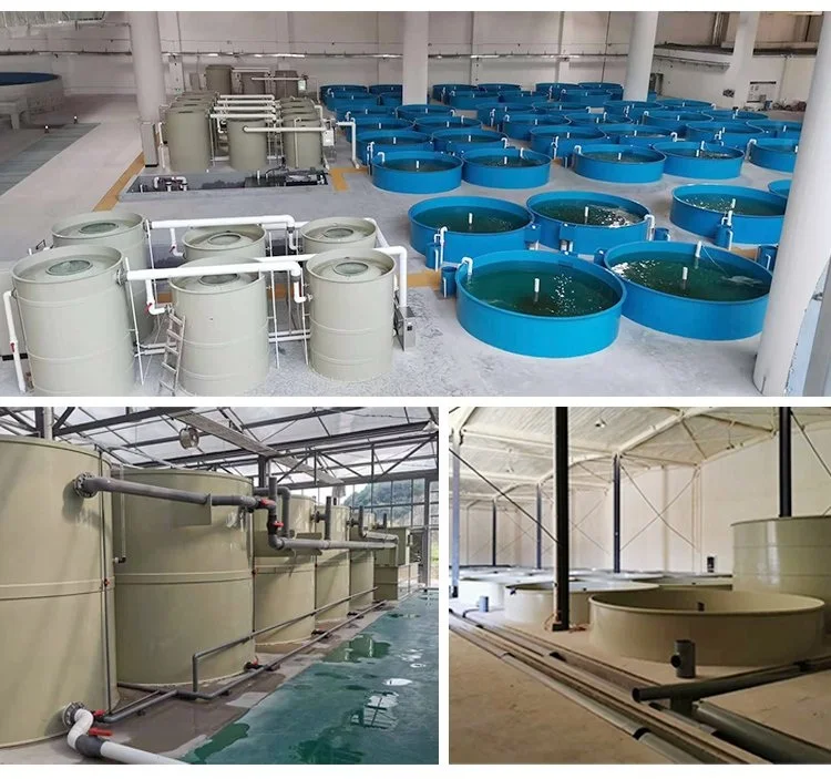 TPPS protein skimmer protein skimmer aquaculture circulating filter skimmer