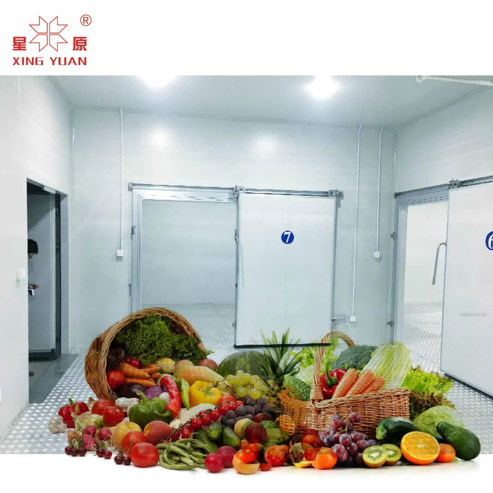 200Mt Cold Room Equipment Coldroom Chiller Room Cold Storage