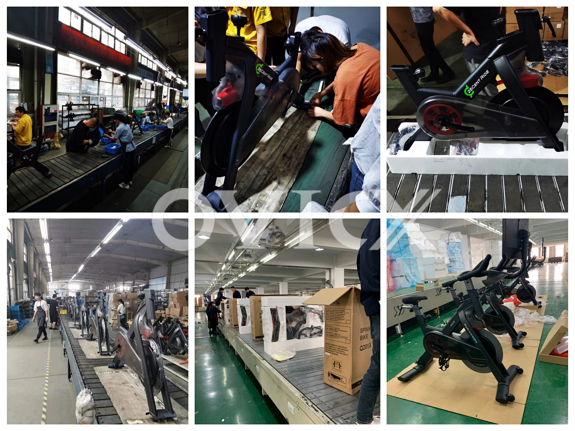 OVICX indoor fitness use white spinning bike magnetic resistance exercise spin bike with app screen led light