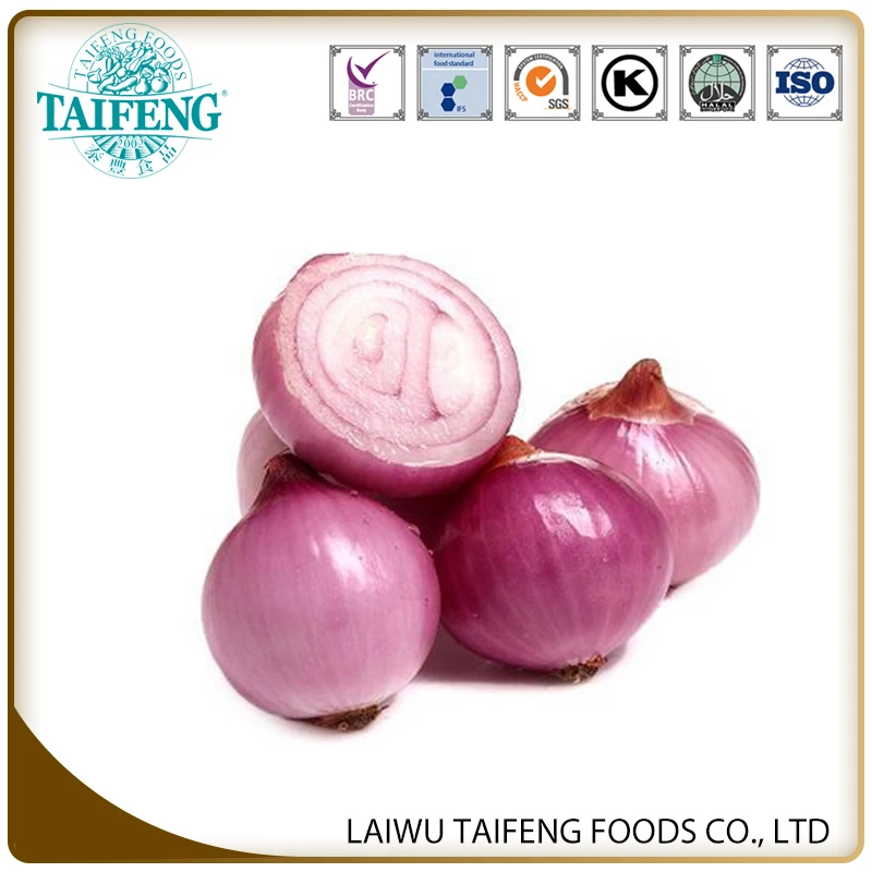 China fresh exporters prices ton red onion for onion importers wholesale