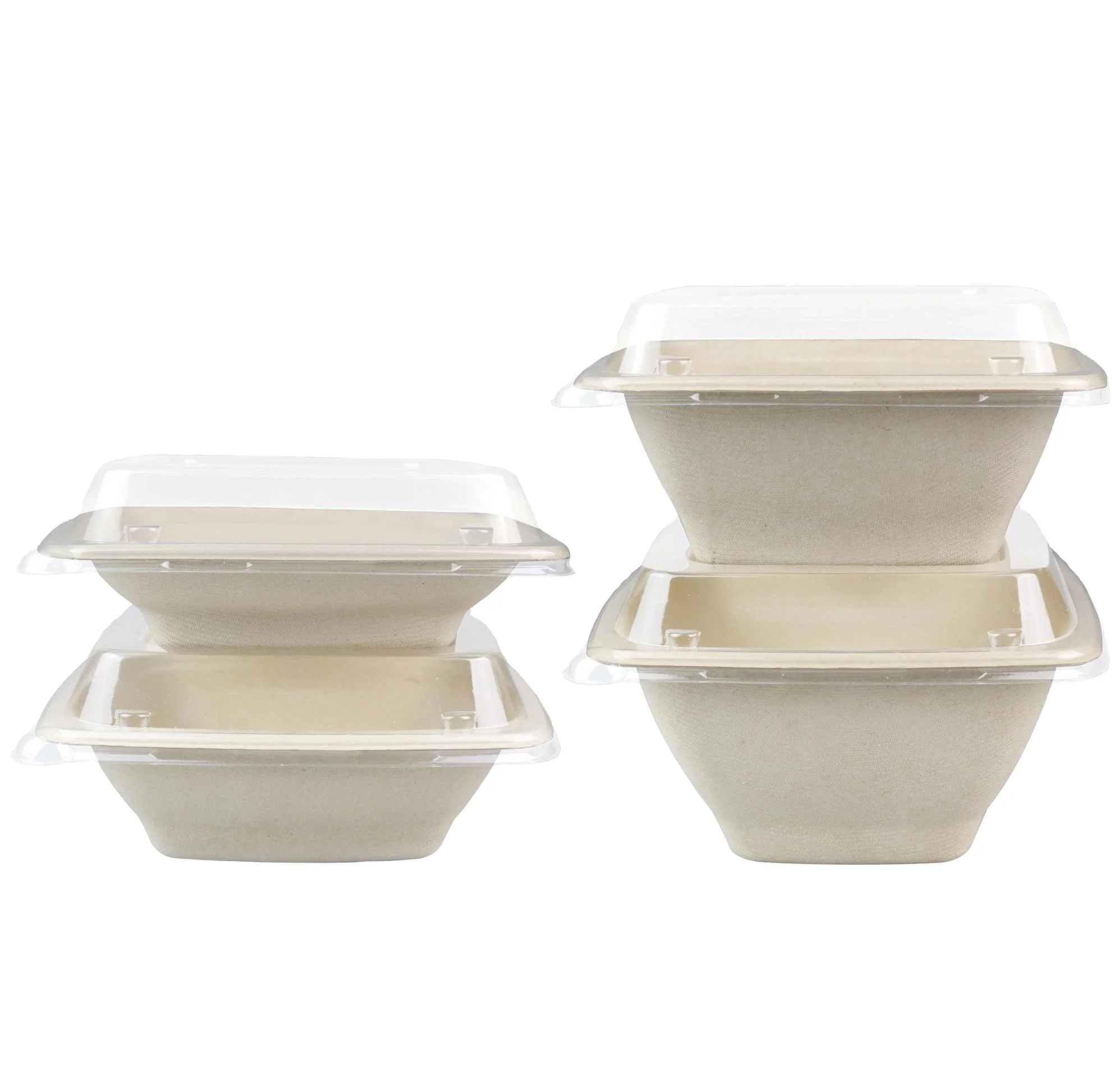 Biodegradable Sugarcane Bagasse Bento Box Disposable Pulp Products Food Packaging Container