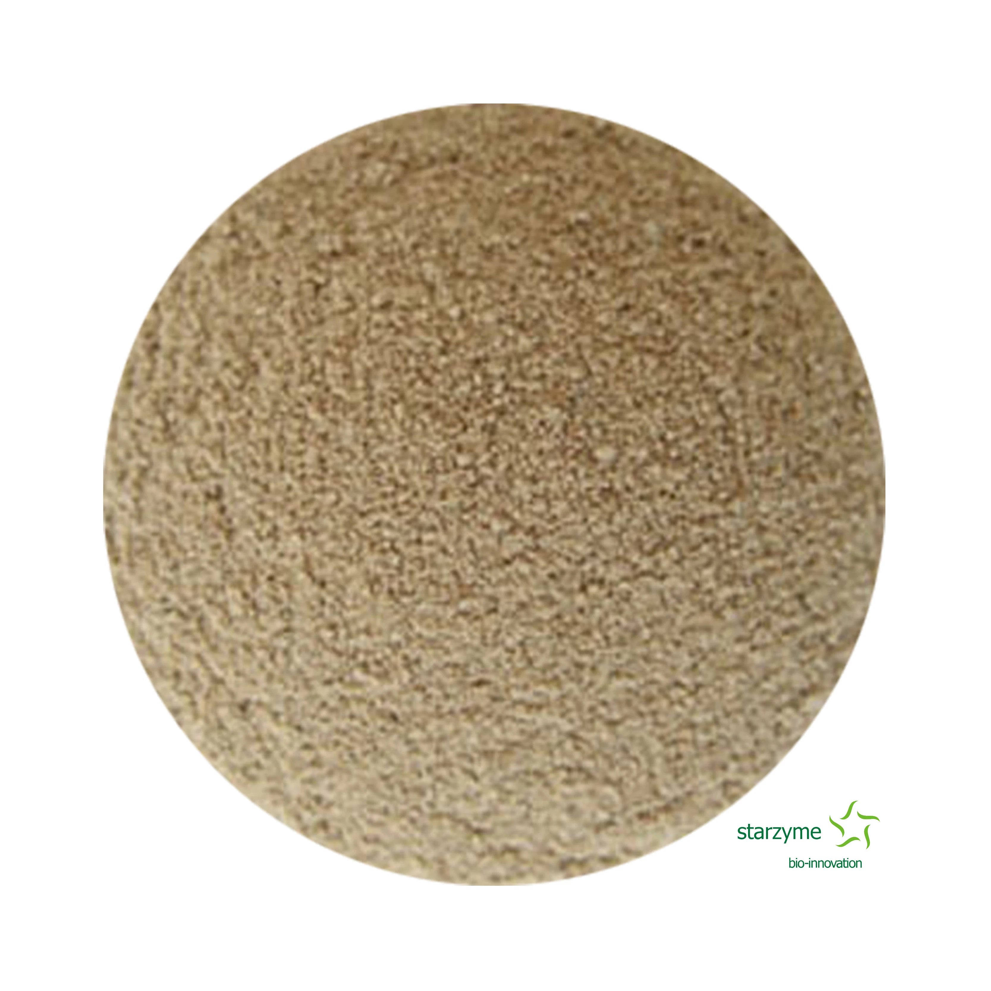 High Content High Purity Acidic Protease Feed Enzyme Powder