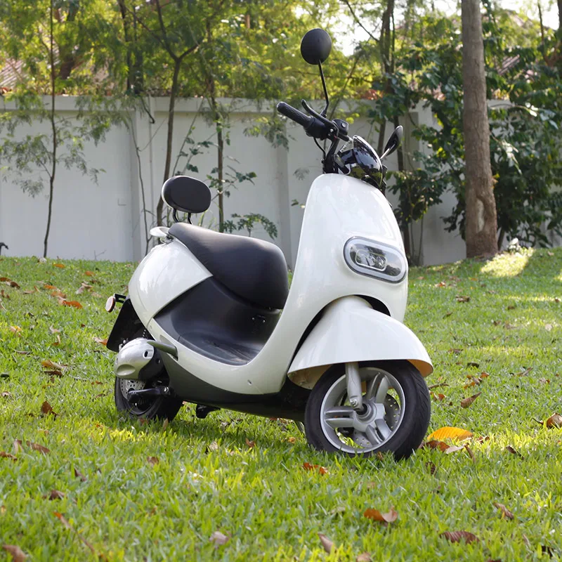 LX02-W-Y6 60V20AH LEAD-ACID ELECTRICAL MOTORCYCLE SCOOTER FRONT DISC BRAKE REAR DISC BRAKE  800W MOTOR POWER