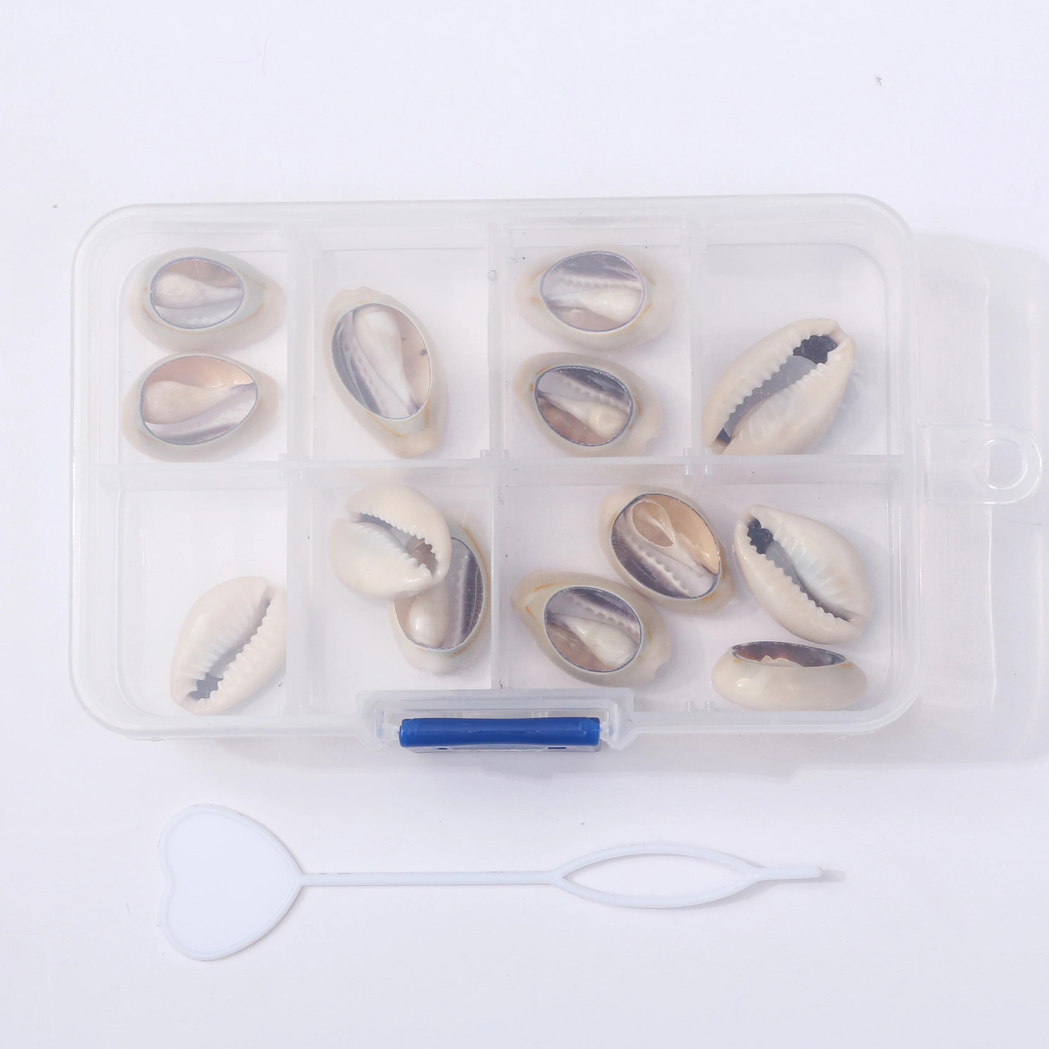 Top Selling 10 Pcs Shell Hair Beads For Braids Accessories With Clear Storage Box Natural Shell Pony Beads For Little Girl