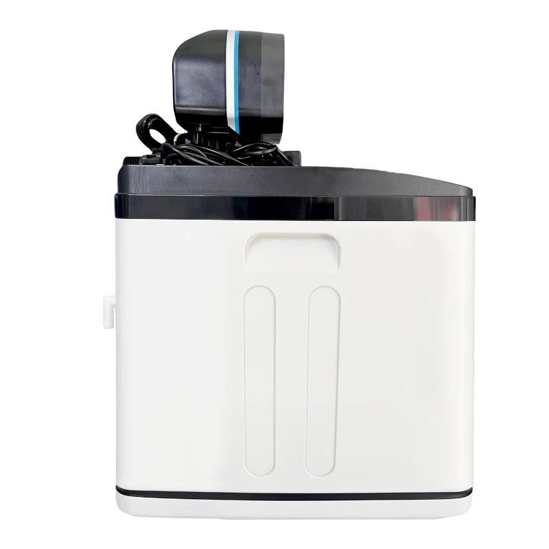 Excellent Price Salt Tablets Water Softener Head Automatic Water Flushing Water Softener for Household