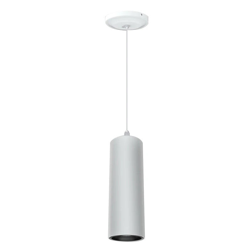 Modern Design led pendant light 20W 3000K ceiling pendant luminaires  SD042-20W