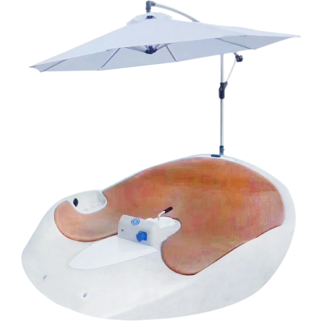 Attractive Water Park Electric Leisure Boat for couples