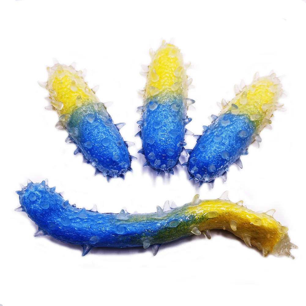 Wholesale Simulation Sea Cucumber Tpr Silicone Stress Relief Squeeze Toys
