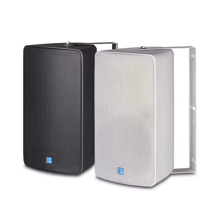 FDB Audio 8' Water-proof Installation Speaker with 100V Transformer IP46