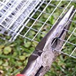 Cheap 1*1 2*2 3*3 inch galvanized welded rabbit/chicken cage wire mesh PVC coated welded wire mesh