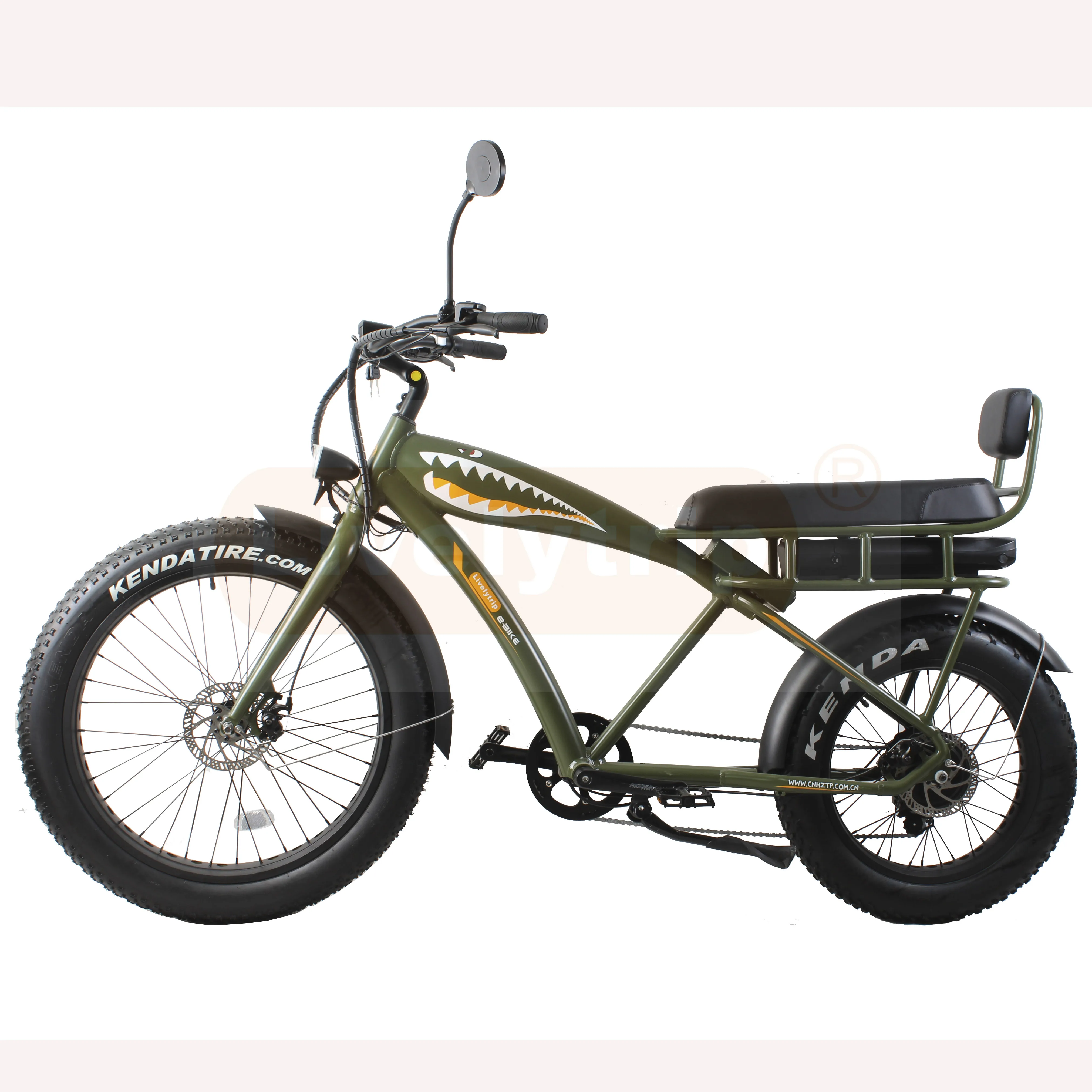 Factory direct 500w fat tire electric bike with 2 seats e bikes motorcycle