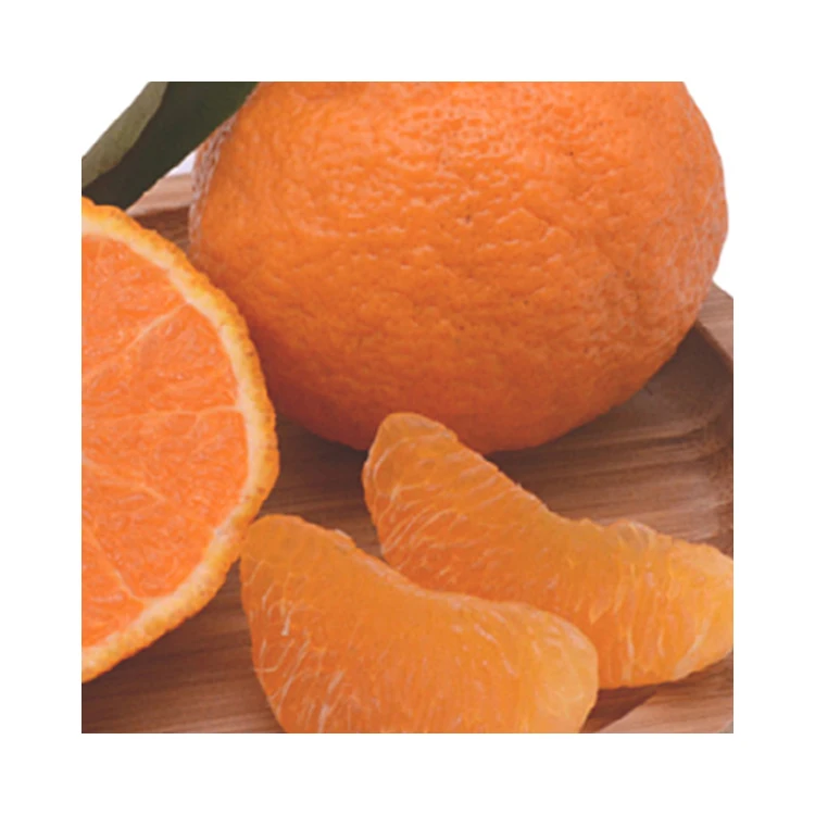 Wholesale Delicious Sweet Fresh Citrus Fruit Fresh Oranges Navel Orange For Sale