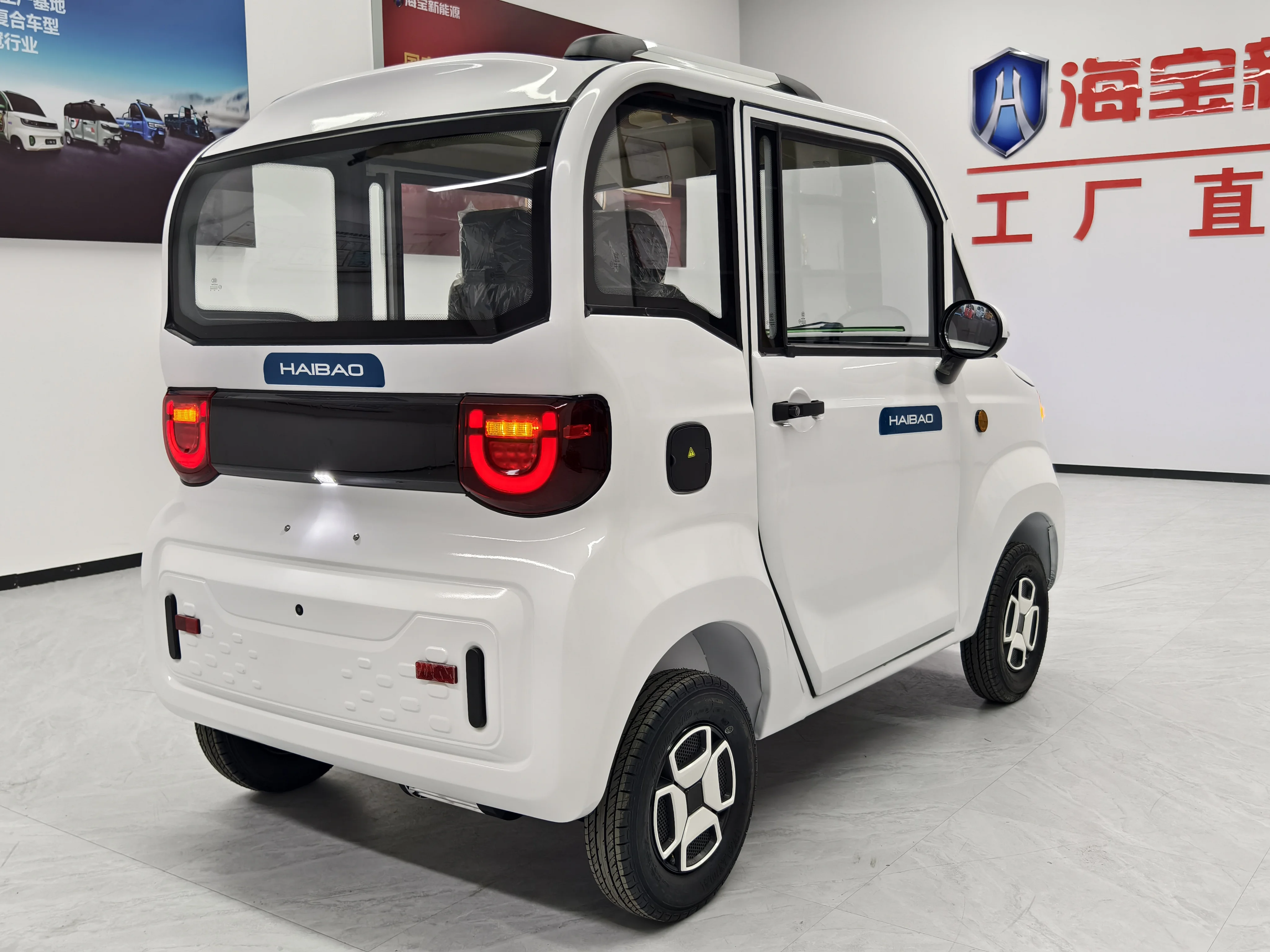 2024 Chinese Electric 2-Door Car - 3000W Motor, EEC Certified, 45km/h, Luxury Seats