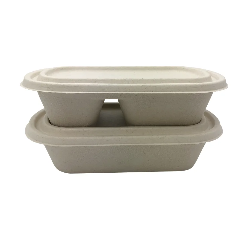 26oz Disposable Sugarcane Lunch Box PFAS Free Bagasse Takeway Salad Box To Go Food Microwave Food Container Lids