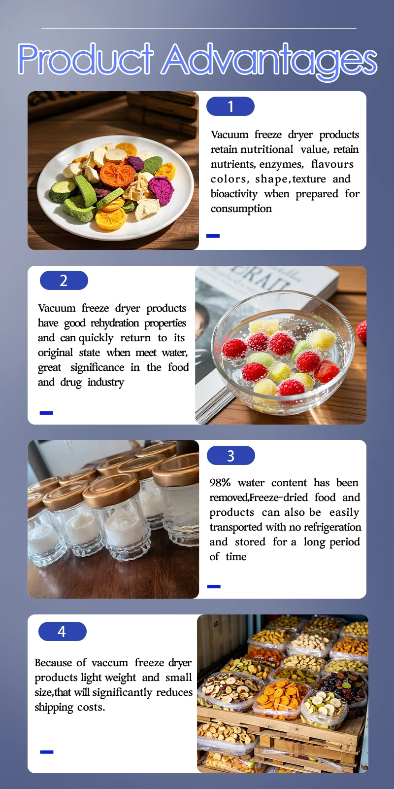 High Quality Electric Freeze Dryer Machine Food Processing Equipment Cheap Price Freeze Dried Food Storage Freezer Freezing