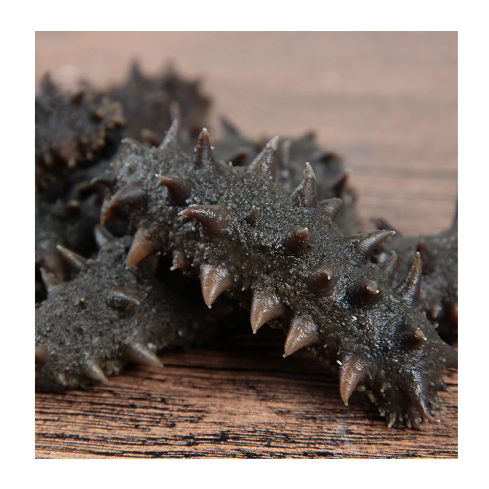 Сушеный морской огурец Black Pin Sea Slug по надежной цене