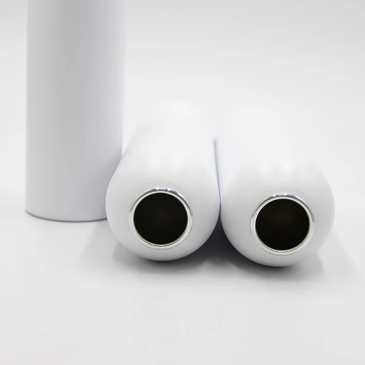 Custom brand colorful printing aluminum aerosol can supplier professional spray can