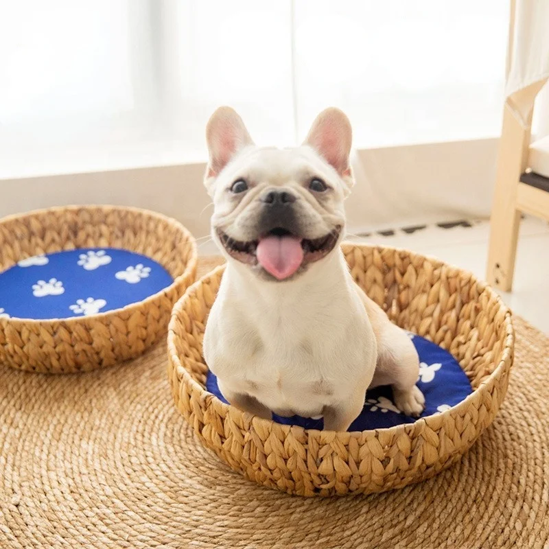 New Arrival Grasswoven Pet Bed Basket with Cotton Cushion for Small Dogs & Cats Indoor House Decor Washable Round Pillow