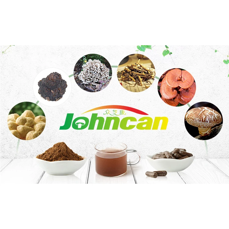 Wholesale Factory Supply Best Price Nature Reishi Mushrooms Dried Reishi Powder Mushroom