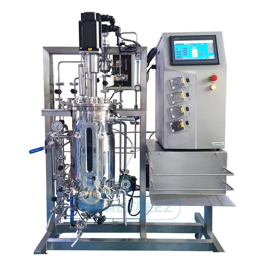 Laboratory Automatic BIOF Stainless Steel Fermenter