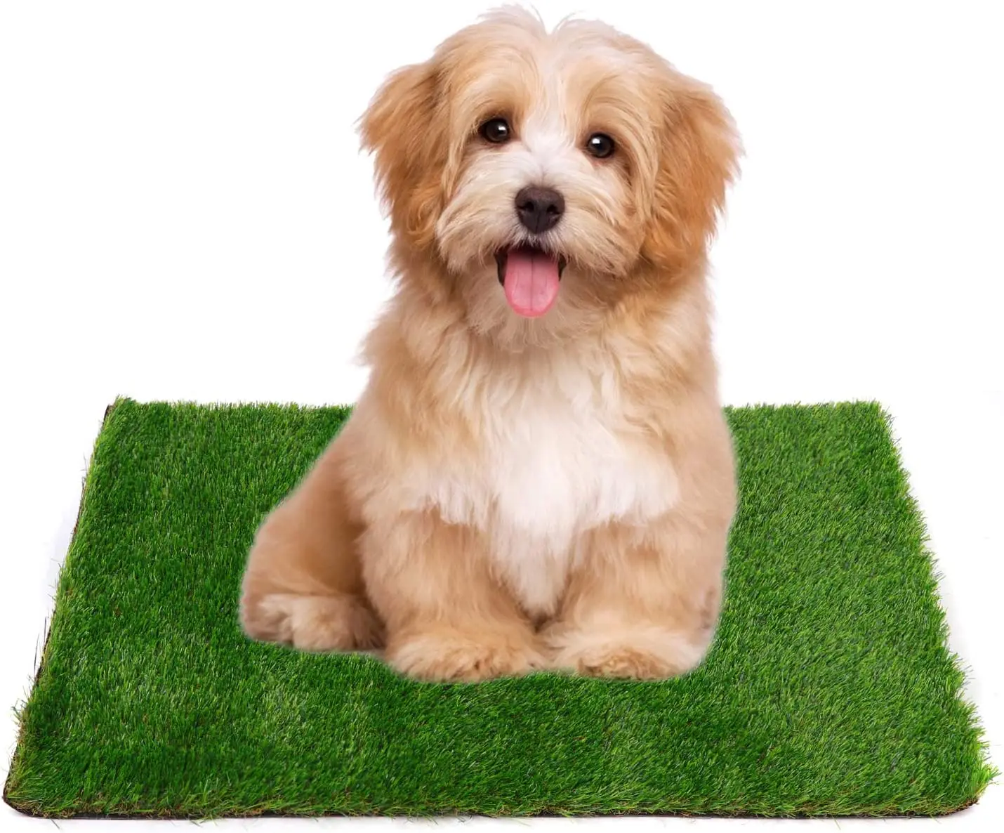 Superior Soft Senior Top Quality Artificial Grass Environmental Friendly High Dense Synthetic Grass