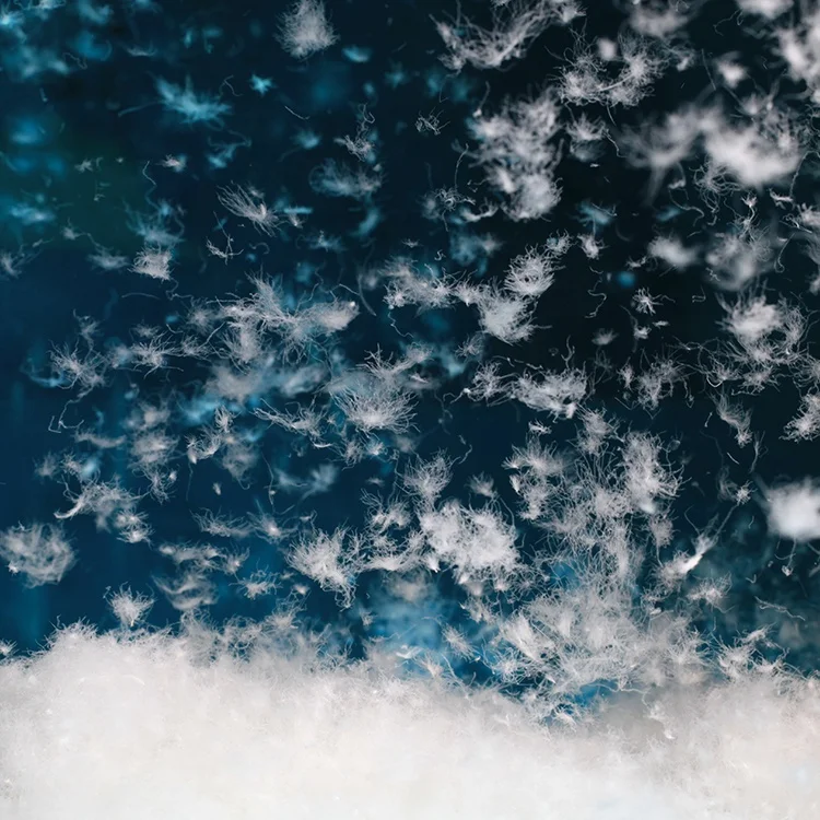 Factory Direct Sales Clothing Down Washed White Goose Down 90% Goose Down Fill For Sale