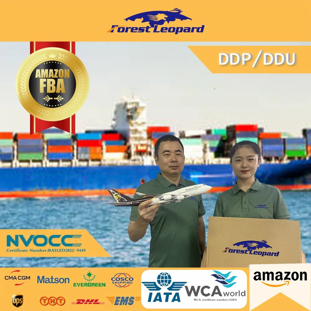 China shipping agent to usa/india/Германия со склада от двери до двери, обслуживание во Франции и Бразилии