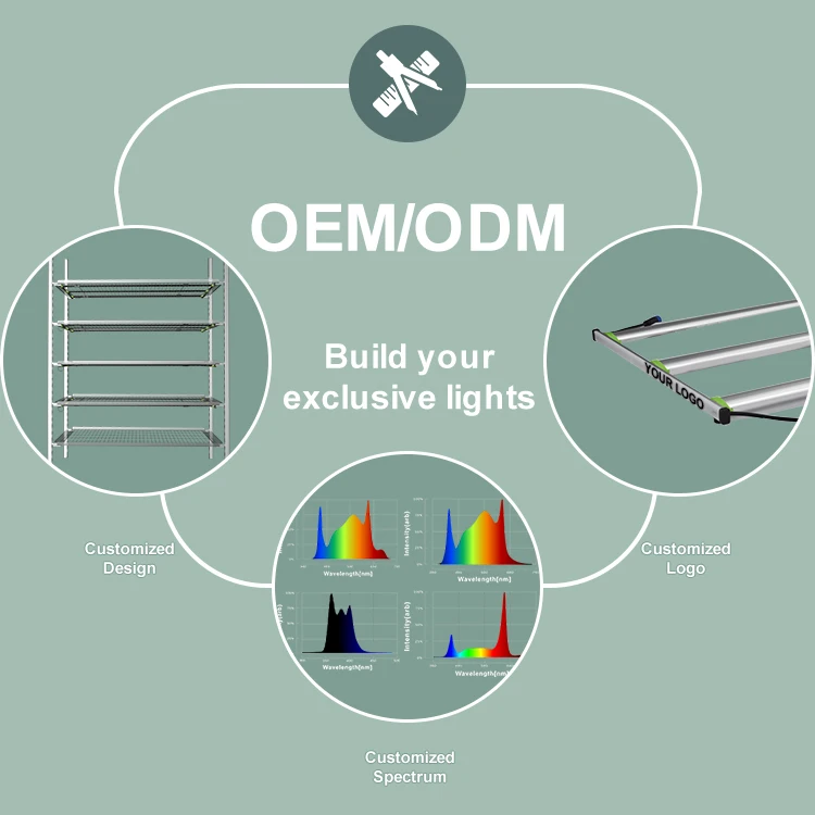 Aluminum Body LED Grow Light Strip for Indoor Hydroponic Farming Samsung & LM301H Chips 100W-240W Spectrum Red CCT Veg Plant