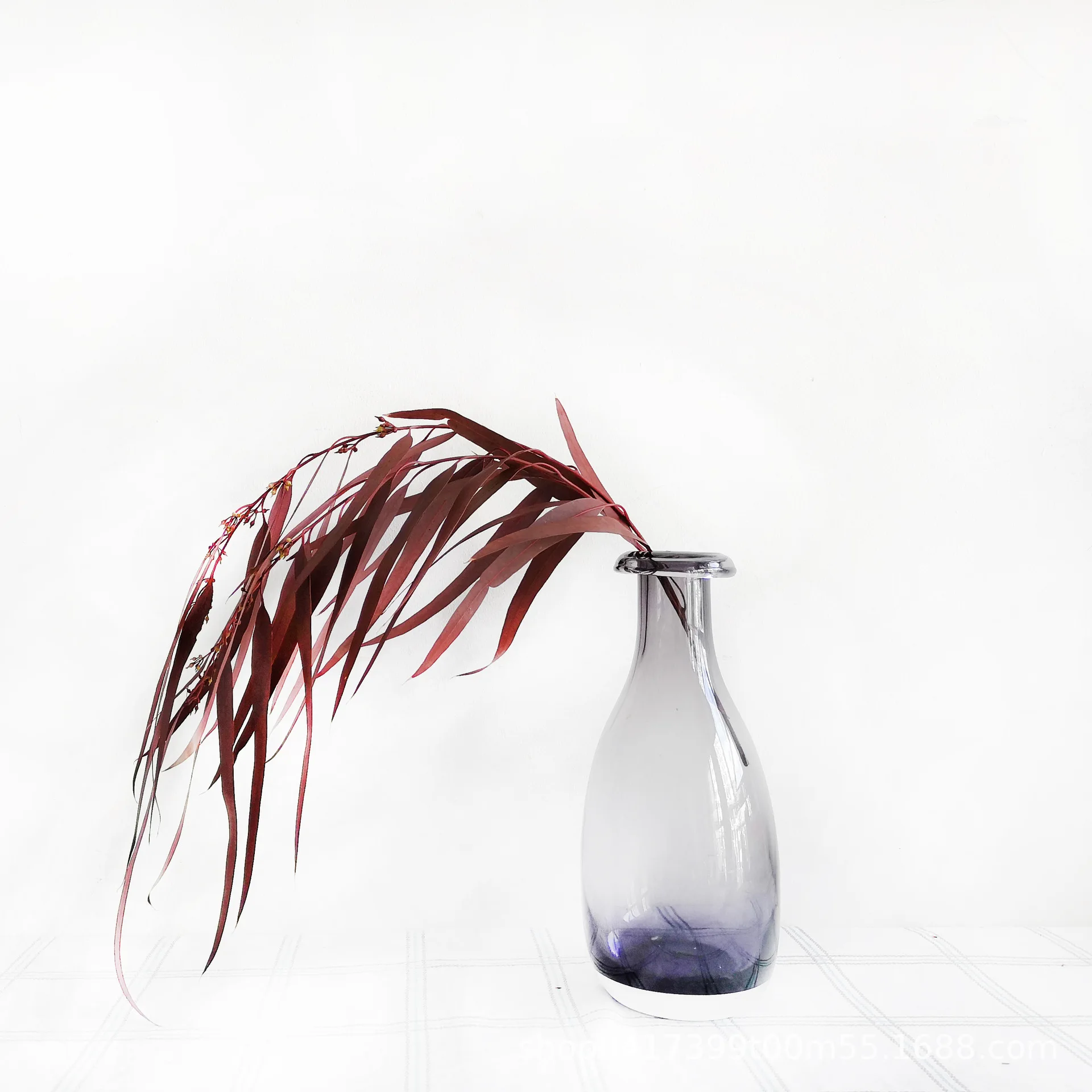 Amazon hot sell home decoration wholesale everlasting eucalyptus leaves preserved eucalyptus saligna seed