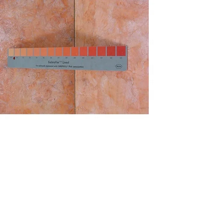 chile frozen salmo salar.jpg