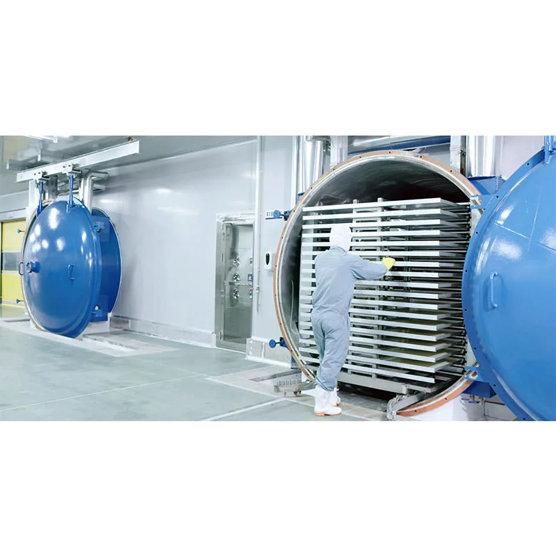 FD-50 Medium Square Meters Industrial Fresh Food Fruit Vegetable Vacuum Freeze Dryer Dehydrator Machine