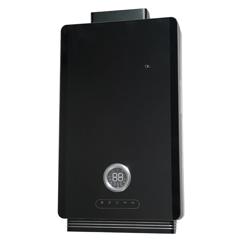 Gexiang Factory Manufacturer Custom Luxury Family Bathroom Instant Black Gas Water Heater for Shower