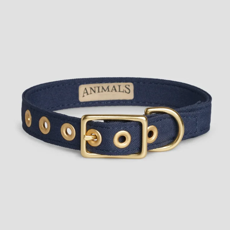 Outdoor Training Dog Collar Luxury Dog Collar