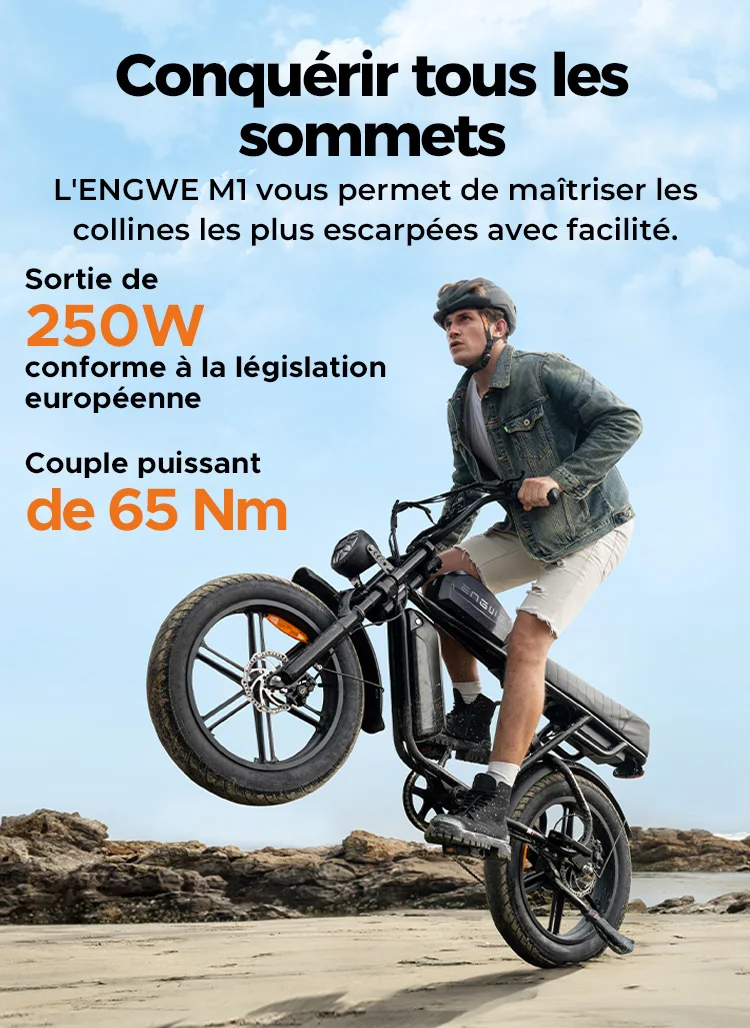 ENGWE M1 Single Battery Version  Electric Bibke  Max Speed 6KMH  48V 250W 15.6Ah Yellow Black Color EU warehouse 20*4.0 Tire