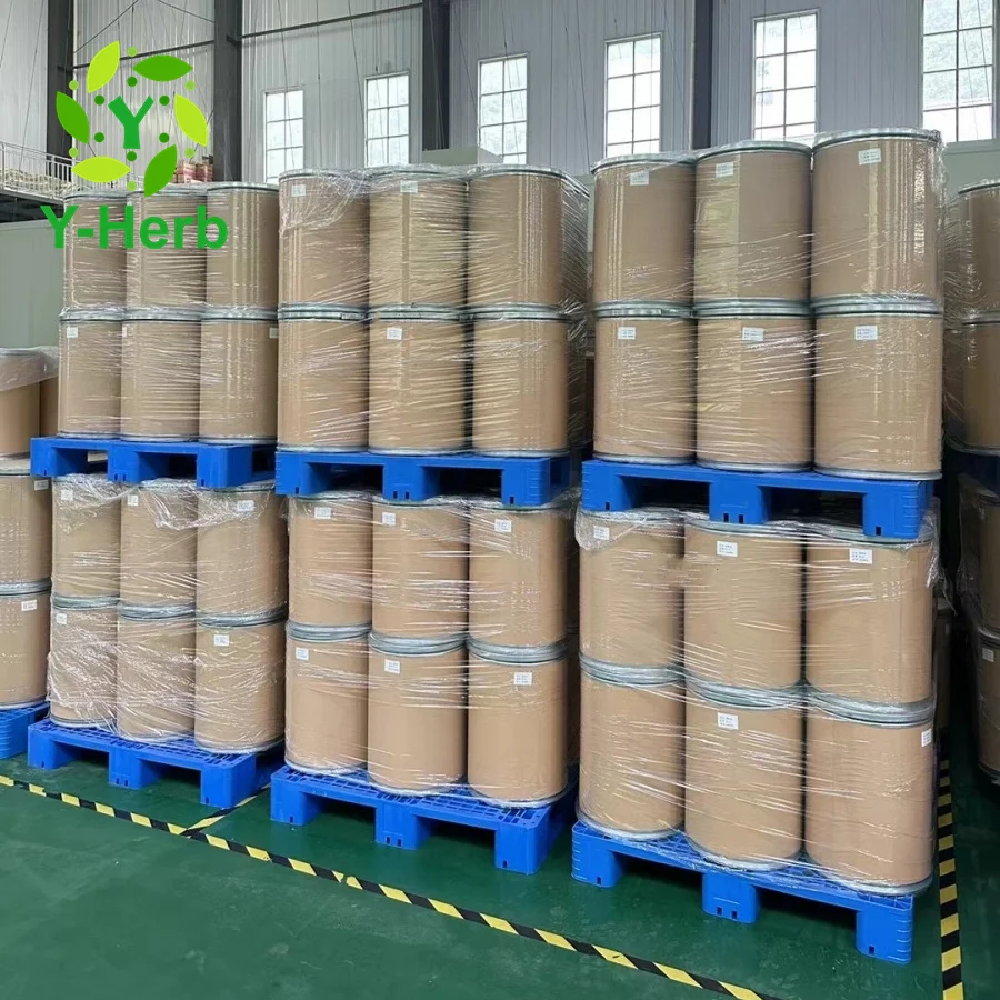 Organic Lian Hua Extract Powder Hybrid Fresh Lotus Plumule Extract 10:1 Nelumbo Nucifera Leaf/Seed/Flower Extract