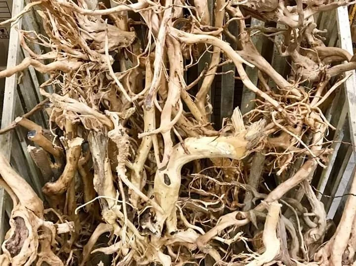 Аквариум и бонсай мангровая древесина driftwood root tweety